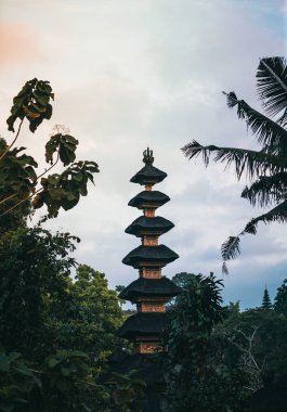 Yeşil orman arasında Asya tapınak görünümü
