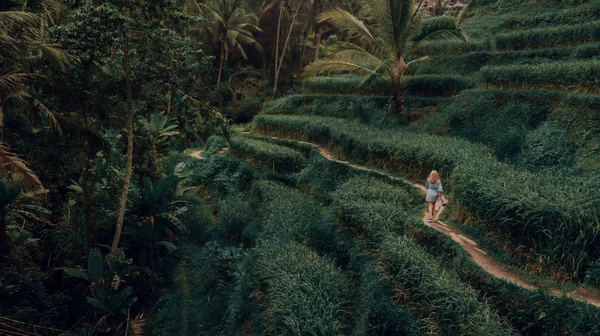 Gadis Berjalan Antara Tanaman Hijau Perbukitan Indah — Stok Foto