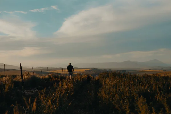 Uomo Che Cammina Campo Grano Tramonto Natura — Foto Stock