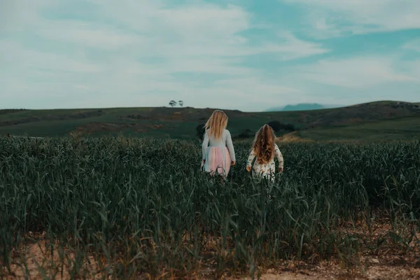 野原を走る可愛い女の子たち ロイヤリティフリーのストック写真