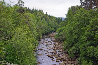 Manzara Dulnain köprüsünde. İskoçya iscotland nereye kadar bakmak güzel manzara dolu. Doğanın güzelliği kelimelerle ifade etmek zordur.
