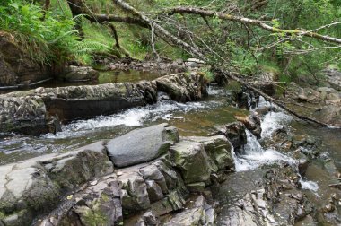 Plodda Falls bir şelale 5 km Tomich köyü yakınındaki İskoçya Highlands Glen Affric güneybatısında olduğunu.