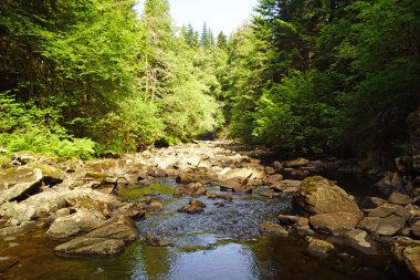 Plodda Falls bir şelale 5 km Tomich köyü yakınındaki İskoçya Highlands Glen Affric güneybatısında olduğunu.