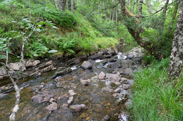 Plodda 폭포는 Affric 스코틀랜드의 Tomich 남서쪽으로 5Km — 스톡 사진