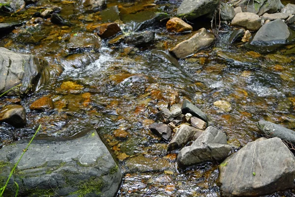 Plodda Falls Een Waterval Ten Zuidwesten Van Het Dorp Van — Stockfoto