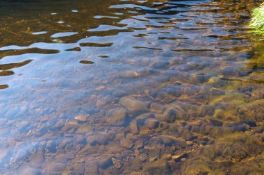 Peri havuzları, güzel berrak mavi havuzları üzerinde nehir kırılgan siyah Cuillins Glenbrittle yakınındaki ayak altındadır.
