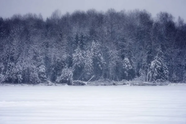 Sněžení na jezeře — Stock fotografie