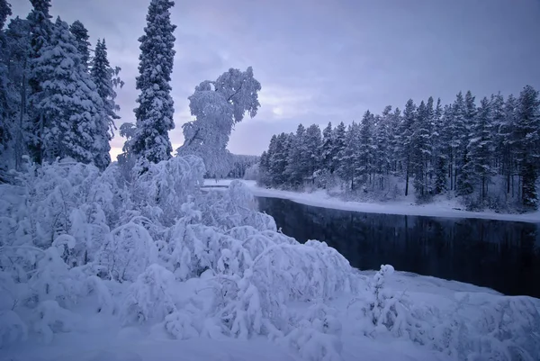 Зимняя сказка в Северной Карелии — стоковое фото