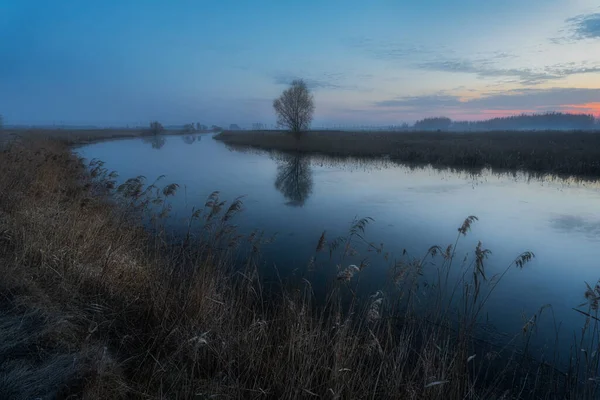 Allein auf dem Feld ... — Stockfoto