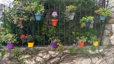 Demir bir çitin üzerinde çiçek açan renkli saksılar. Çeşitli çiçek ve yeşillik içeren canlı bahçe ve açık hava dekorasyonu konsepti.