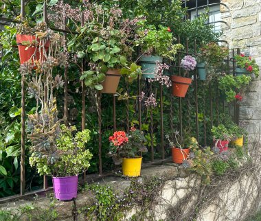  Demir bir çitin üzerinde çiçek açan renkli saksılar. Çeşitli çiçek ve yeşillik içeren canlı bahçe ve açık hava dekorasyonu konsepti.