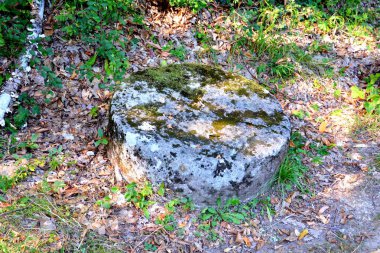 Daçya kale Costesti, Transilvanya, Karpat Dağları, Romanya