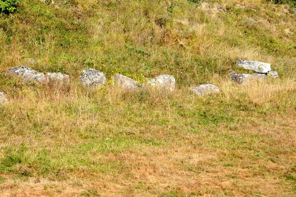 Forteresse Dacienne Costesti Transylvanie Dans Les Carpates Roumanie — Photo