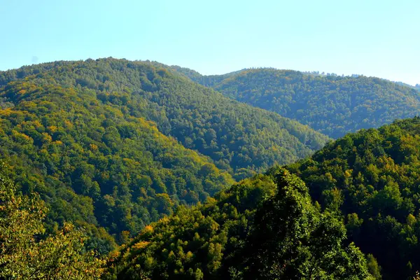 Typická Krajina Lesích Transylvánie Rumunsko Zelená Krajina Uprostřed Léta Slunečného — Stock fotografie