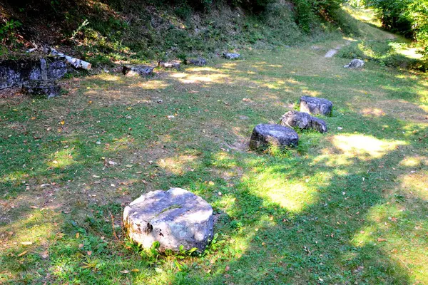 Forteresse Dacienne Costesti Transylvanie Dans Les Carpates Roumanie — Photo