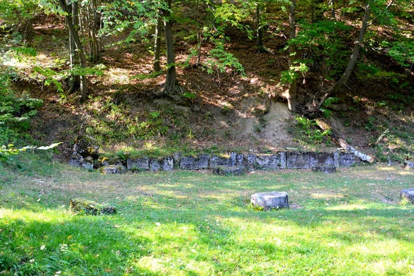 Dacische Fort Uit Costesti Transsylvanië Karpaten Roemenië — Stockfoto