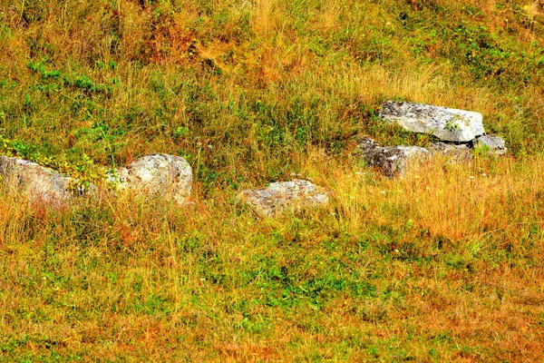 Дацийская Крепость Костешти Трансильвания Карпатах Румыния — стоковое фото