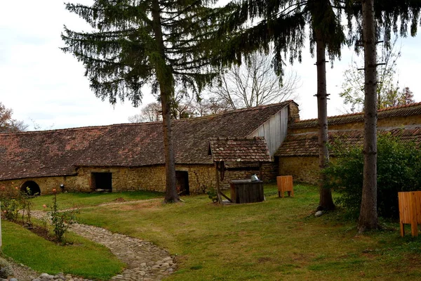 Maison Typique Dans Village Crit Kreutz Transylvanie Roumanie Les Villageois — Photo