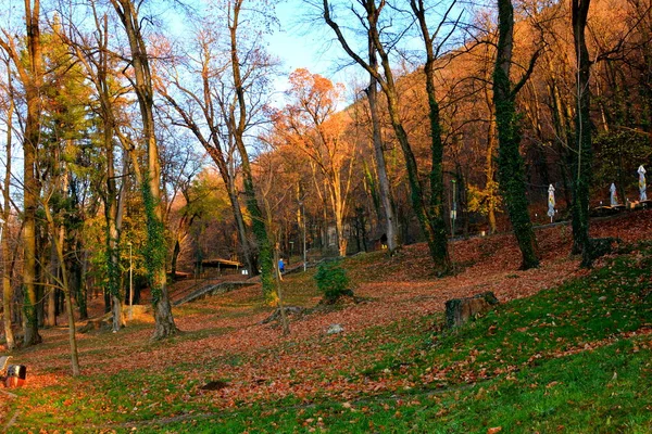 Jesienny Krajobraz Ogrodzie Szaleństwo Kolorów Jesieni Suchych Liści — Zdjęcie stockowe