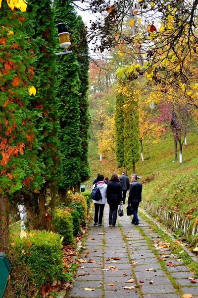 Autumn Color Saint Ana Rohia Monastery Typical Rural Landscape Forests — Stock Photo, Image