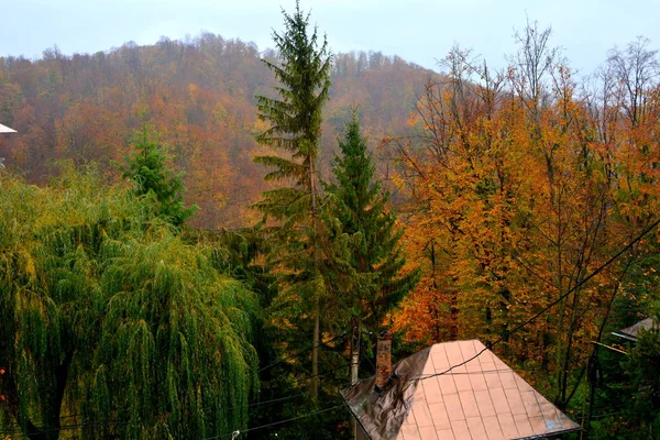 Herbstfärbung Kloster Sankt Anna Rohia Typische Ländliche Landschaft Den Wäldern — Stockfoto