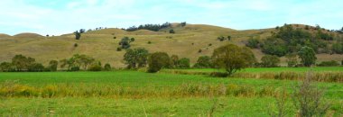 Tipik peyzaj Transilvanya, Romanya'nın ormanlarda. Güneşli bir günde sonbahar renk