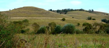 Tipik peyzaj Transilvanya, Romanya'nın ormanlarda. Güneşli bir günde sonbahar renk
