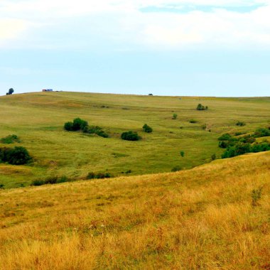 Romanya 'nın Transilvanya ovalarındaki tipik kırsal alan. Yazın ortasında, güneşli bir günde yeşil bir manzara.