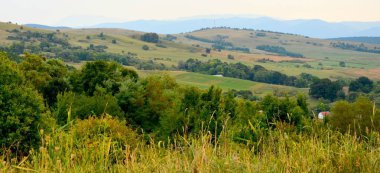 Romanya 'nın Transilvanya ovalarındaki tipik kırsal alan. Yazın ortasında, güneşli bir günde yeşil bir manzara.