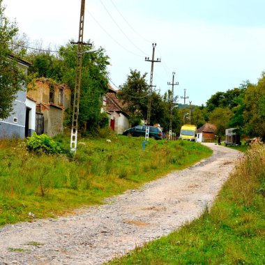 Romanya 'nın Transilvanya ovalarındaki tipik kırsal alan. Yazın ortasında, güneşli bir günde yeşil bir manzara.