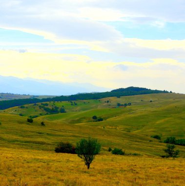 Romanya 'nın Transilvanya ovalarındaki tipik kırsal alan. Yazın ortasında, güneşli bir günde yeşil bir manzara.