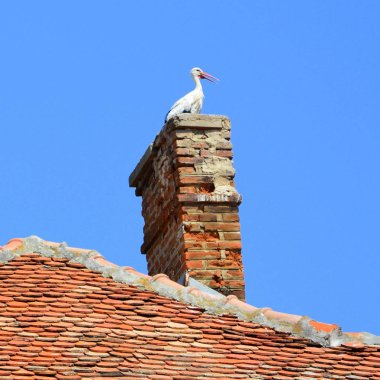 Tipik kırsal manzara ve köylü Somartin, Martinsberg, Mrtelsberg, Transilvanya, Romanya köyde evler. Yerleşim 12. yüzyılda ortasında Sakson kolonistler tarafından kuruldu