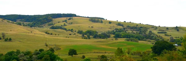 Typische Ländliche Landschaft Den Ebenen Siebenbürgens Rumänien Grüne Landschaft Hochsommer — Stockfoto