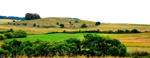 Typická Venkovská Krajina Rovinách Transylvánie Rumunsko Zelená Krajina Uprostřed Léta — Stock fotografie