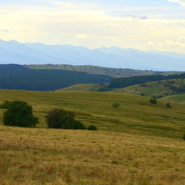 Typical Rural Landscape Plains Transylvania Romania Green Landscape Midsummer Sunny — Stock Photo, Image