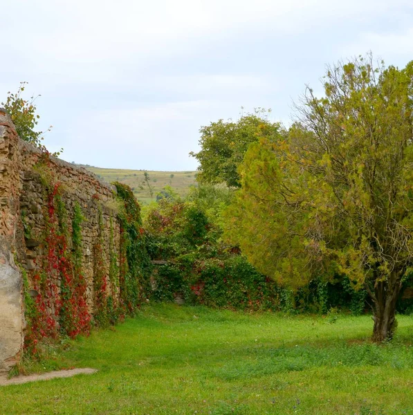 Typische Ländliche Landschaft Den Ebenen Siebenbürgens Rumänien Grüne Landschaft Hochsommer — Stockfoto