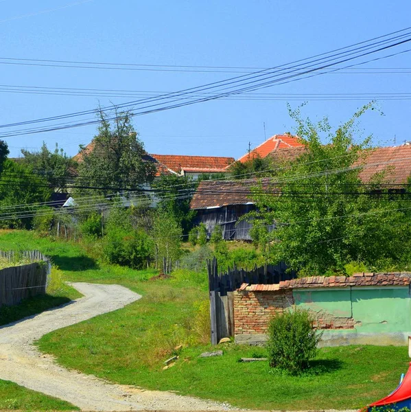 トランシルヴァニア ルーマニアの平野で典型的な農村風景 真夏の緑の風景 晴れた日に — ストック写真