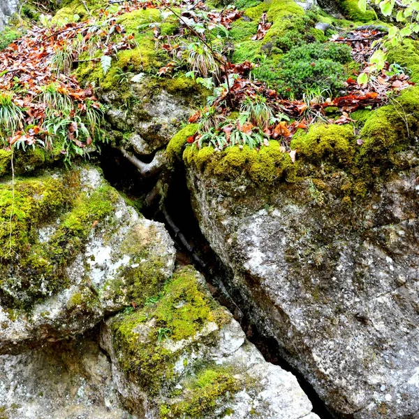 Strada Inverno Stazione Turistica Poiana Brasov Brasov Una Città Situata — Foto Stock