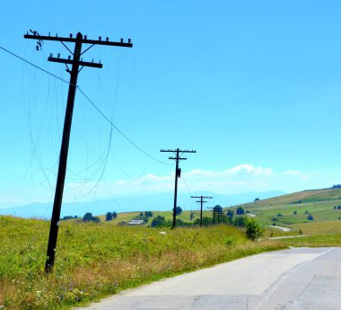 Romanya 'nın Transilvanya ovalarındaki tipik kırsal alan. Yazın ortasında, güneşli bir günde yeşil bir manzara.