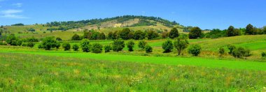 Romanya 'nın Transilvanya ovalarındaki tipik kırsal alan. Yazın ortasında, güneşli bir günde yeşil bir manzara.
