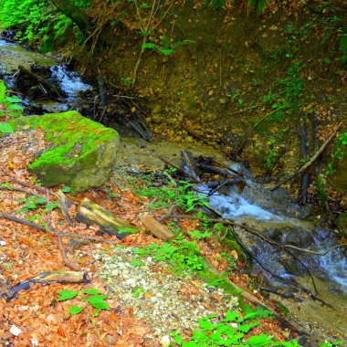 Yol kış ve turistik istasyonuna Poiana Brasov, 12 km uzaklıkta Brasov, Transilvanya, Romanya, ülkenin merkezinde bulunan bir ilçedir. Ormandaki nehir.
