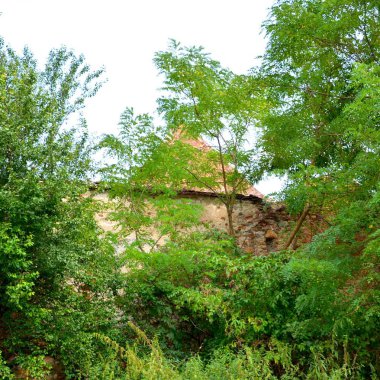 Romanya 'nın Transilvanya ovalarındaki tipik kırsal alan. Yazın ortasında, güneşli bir günde yeşil bir manzara.