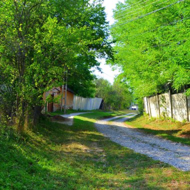 Romanya 'nın Transilvanya ovalarındaki tipik kırsal alan. Yazın ortasında, güneşli bir günde yeşil bir manzara.