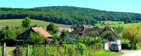 Typiskt Landsbygdslandskap Slätterna Transsylvanien Rumänien Grönt Landskap Midsommar Solig Dag — Stockfoto