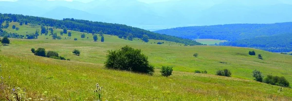 Typowy Krajobraz Wiejski Równinach Siedmiogrodu Rumunia Zielony Krajobraz Środku Lata — Zdjęcie stockowe