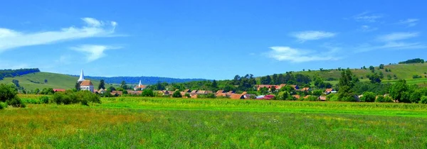 トランシルヴァニア ルーマニアの平野で典型的な農村風景 真夏の緑の風景 晴れた日に — ストック写真