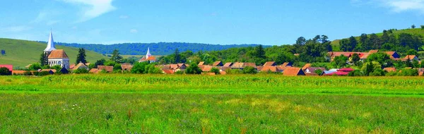 Paysage Rural Typique Dans Les Plaines Transylvanie Roumanie Paysage Vert — Photo