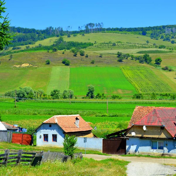 Typical Rural Landscape Plains Transylvania Romania Green Landscape Midsummer Sunny — Stock Photo, Image