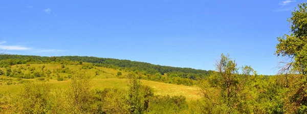 Romanya 'nın Transilvanya ovalarındaki tipik kırsal alan. Yazın ortasında, güneşli bir günde yeşil bir manzara.