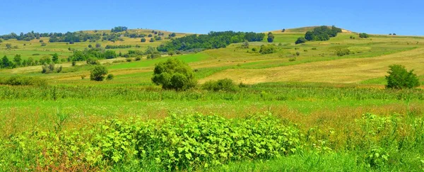 Typical Rural Landscape Plains Transylvania Romania Green Landscape Midsummer Sunny — Stock Photo, Image